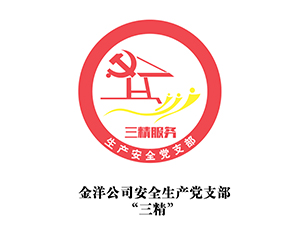 金洋公司生產(chǎn)安全黨支部“三精”