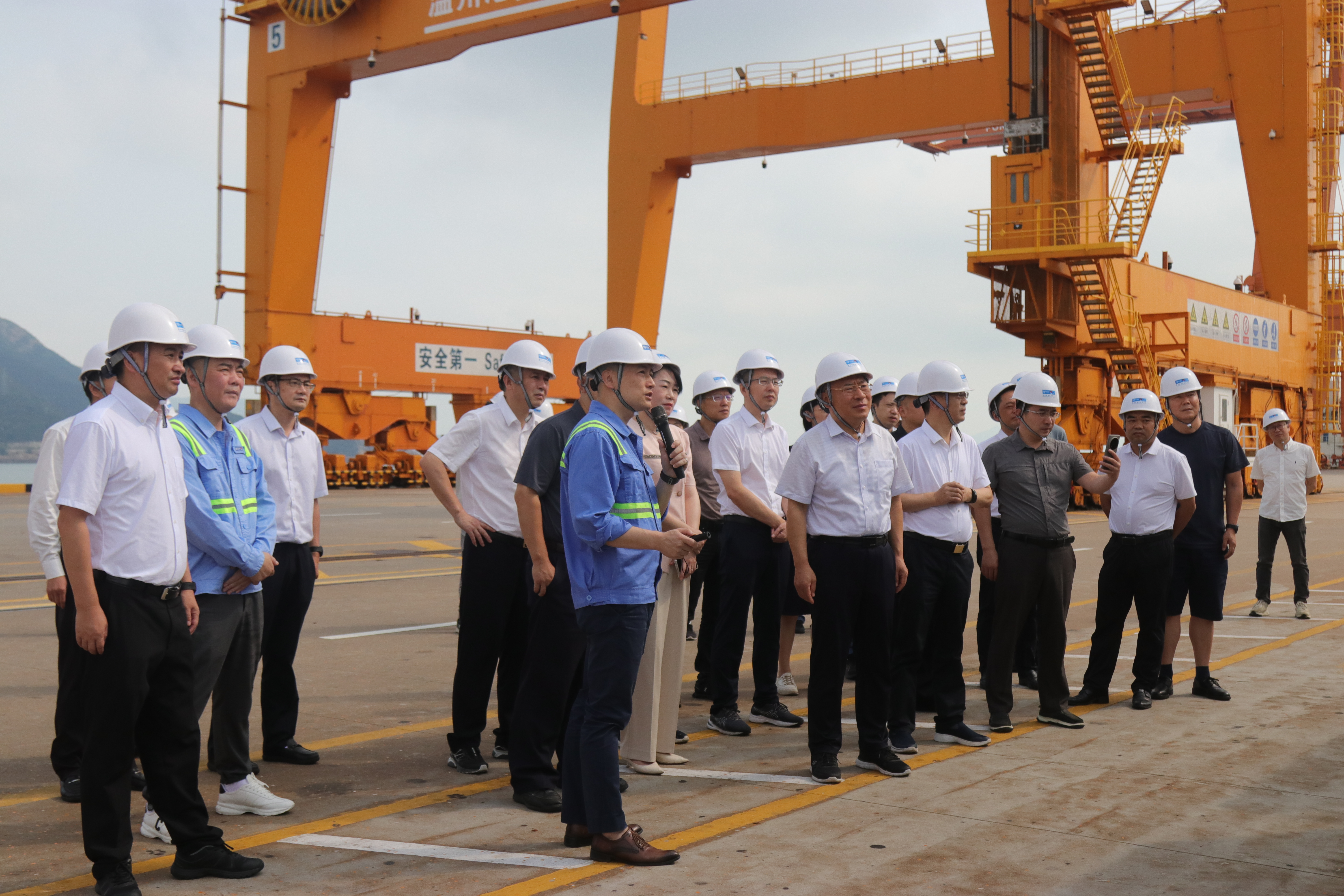 交通運輸部重點(diǎn)人大建議辦理調研組來(lái)溫州港調研